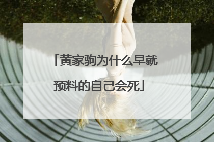 黄家驹为什么早就预料的自己会死