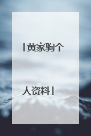 黄家驹个人资料