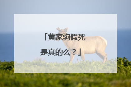 黄家驹假死是真的么？
