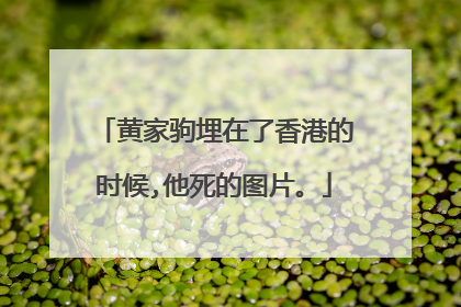 黄家驹埋在了香港的时候,他死的图片。