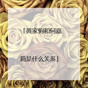 黄家驹和何嘉莉是什么关系