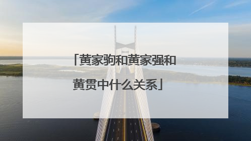 黄家驹和黄家强和黄贯中什么关系