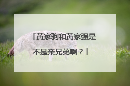黄家驹和黄家强是不是亲兄弟啊？