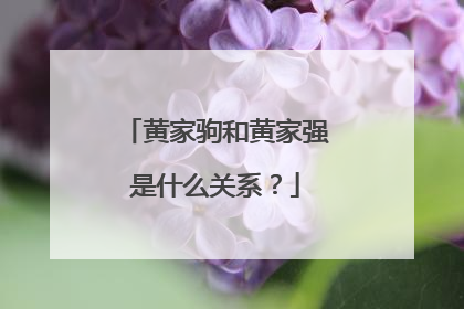 黄家驹和黄家强是什么关系？
