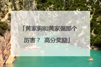 黄家驹和黄家强那个厉害？ 高分奖励