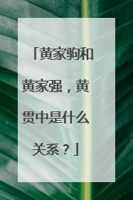 黄家驹和黄家强，黄贯中是什么关系？