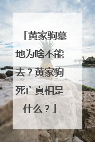 黄家驹墓地为啥不能去?黄家驹死亡真相是什么?