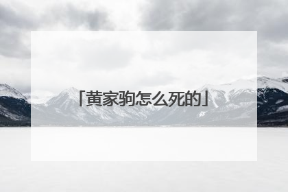 黄家驹怎么死的