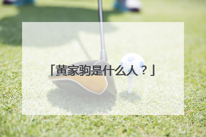 黄家驹是什么人？