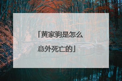 黄家驹是怎么意外死亡的