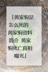 黄家驹是怎么死的 黄家驹资料简介 黄家驹死亡真相曝光