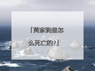 黄家驹是怎么死亡的?