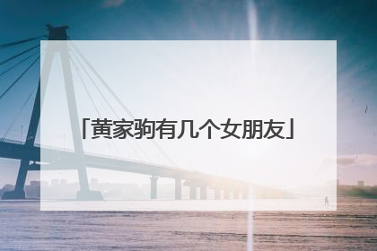 黄家驹有几个女朋友