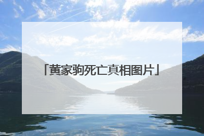 黄家驹死亡真相图片