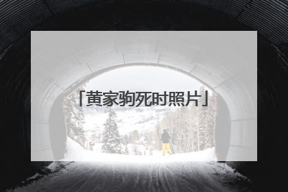 黄家驹死时照片