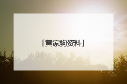 黄家驹资料