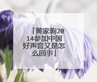 黄家驹2014参加中国好声音又是怎么回事