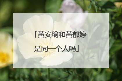黄安瑜和黄郁婷是同一个人吗