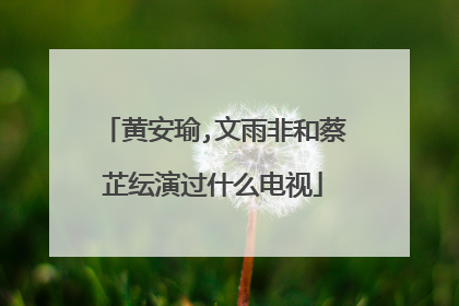 黄安瑜,文雨非和蔡芷纭演过什么电视