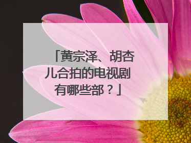 黄宗泽、胡杏儿合拍的电视剧有哪些部?