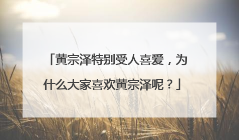 黄宗泽特别受人喜爱,为什么大家喜欢黄宗泽呢?