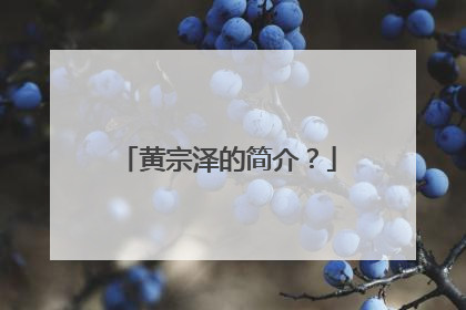 黄宗泽的简介？
