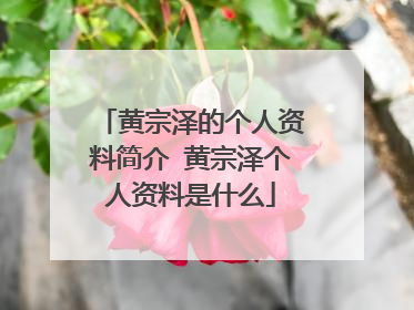 黄宗泽的个人资料简介 黄宗泽个人资料是什么