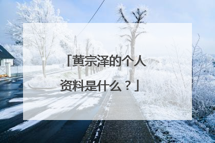 黄宗泽的个人资料是什么？