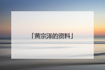 黄宗泽的资料