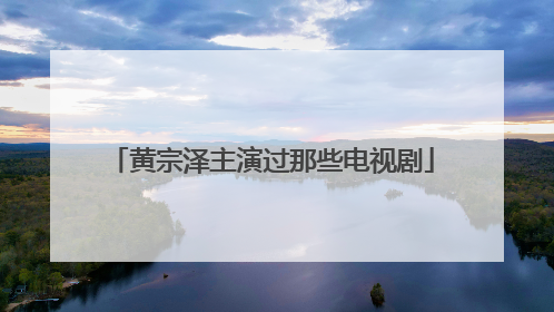 黄宗泽主演过那些电视剧