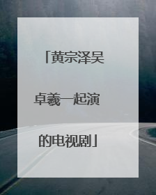 黄宗泽吴卓羲一起演的电视剧