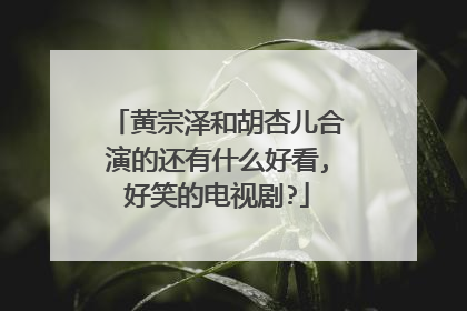 黄宗泽和胡杏儿合演的还有什么好看,好笑的电视剧?