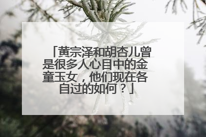 黄宗泽和胡杏儿曾是很多人心目中的金童玉女，他们现在各自过的如何？