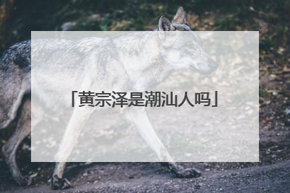 黄宗泽是潮汕人吗