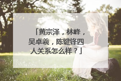 黄宗泽，林峰，吴卓羲，陈键锋四人关系怎么样？