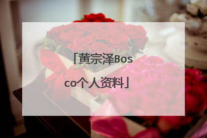 黄宗泽Bosco个人资料