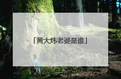 黄大炜老婆是谁