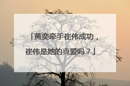 黄奕牵手崔伟成功,崔伟是她的真爱吗?