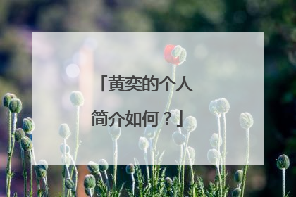 黄奕的个人简介如何?