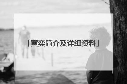 黄奕简介及详细资料