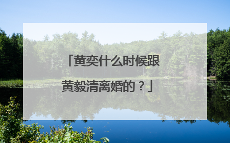 黄奕什么时候跟黄毅清离婚的?