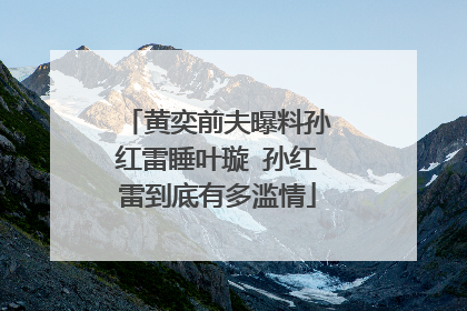 黄奕前夫曝料孙红雷睡叶璇 孙红雷到底有多滥情