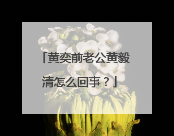 黄奕前老公黄毅清怎么回事？