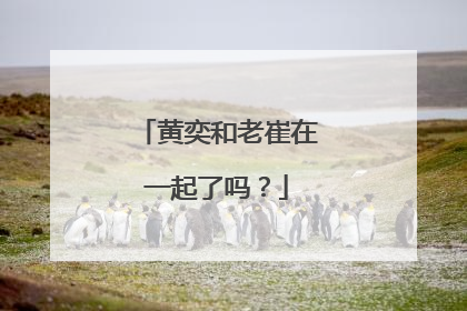 黄奕和老崔在一起了吗?