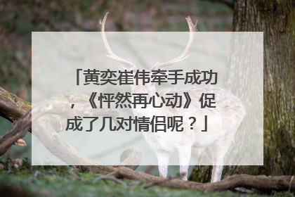 黄奕崔伟牵手成功，《怦然再心动》促成了几对情侣呢？