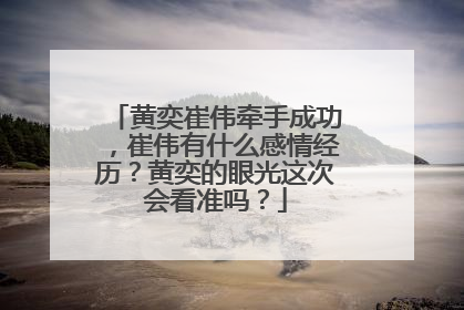 黄奕崔伟牵手成功,崔伟有什么感情经历?黄奕的眼光这次会看准吗?