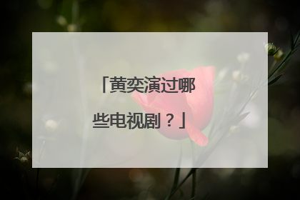 黄奕演过哪些电视剧?