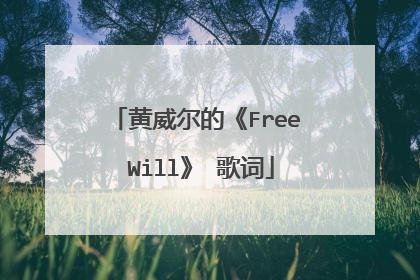 黄威尔的《Free Will》 歌词