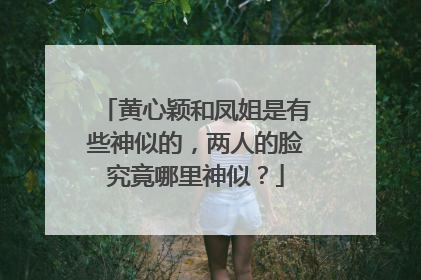 黄心颖和凤姐是有些神似的,两人的脸究竟哪里神似?