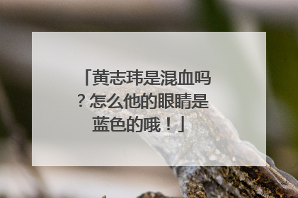 黄志玮是混血吗？怎么他的眼睛是蓝色的哦！
